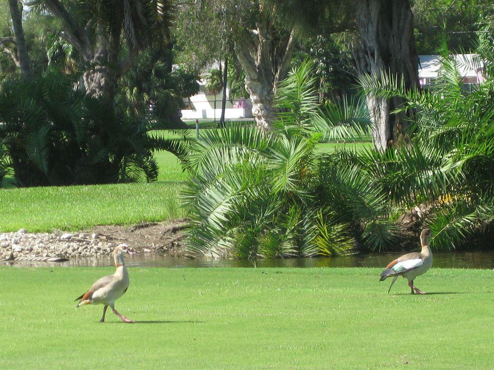 Hollywood Beach Golf Resort ภายนอก รูปภาพ