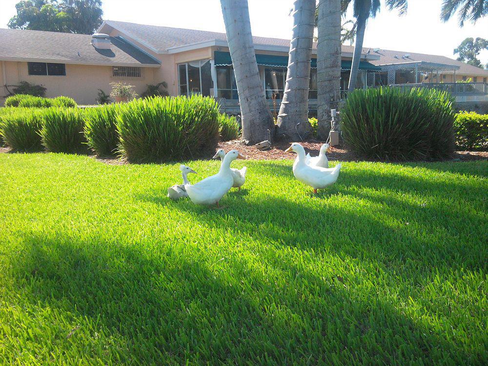 Hollywood Beach Golf Resort ภายนอก รูปภาพ
